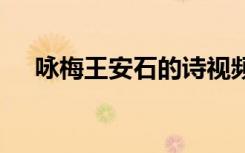 詠梅王安石的詩視頻 詠梅王安石的詩句