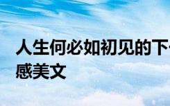 人生何必如初見的下一句 人生何必如初見-情感美文