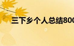 三下鄉(xiāng)個(gè)人總結(jié)800字 三下鄉(xiāng)個(gè)人總結(jié)