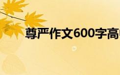 尊嚴(yán)作文600字高中 尊嚴(yán)作文600字