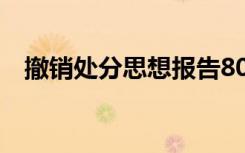 撤銷處分思想報告800 撤銷處分思想報告