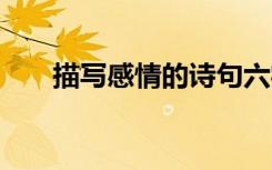 描寫感情的詩句六字 描寫感情的詩句