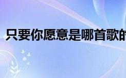 只要你愿意是哪首歌的歌詞 只要你愿意作文
