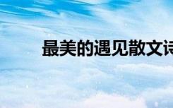 最美的遇見散文詩 最美的遇見散文