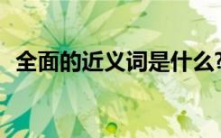 全面的近義詞是什么? 全面的同義詞是什么