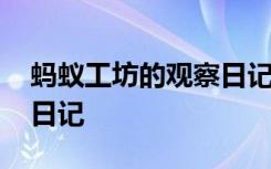 螞蟻工坊的觀察日記怎么寫 螞蟻工坊的觀察日記