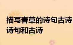 描寫春草的詩句古詩 16句有哪些 描寫春草的詩句和古詩