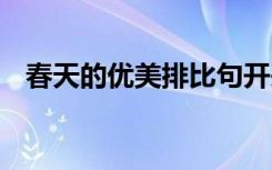 春天的優(yōu)美排比句開(kāi)頭 春天的優(yōu)美排比句