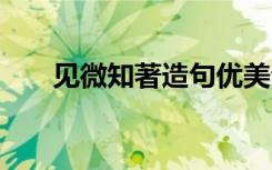 見微知著造句優(yōu)美句子 見微知著造句