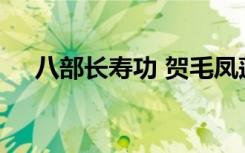 八部長(zhǎng)壽功 賀毛鳳蓮太夫人八秩大壽聯(lián)