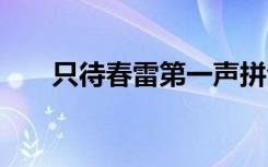 只待春雷第一聲拼音 只待春雷第一聲
