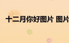 十二月你好圖片 圖片精選 十二月你好圖片