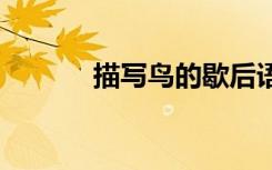 描寫鳥的歇后語 鳥兒的歇后語