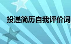 投遞簡歷自我評價詞語 投遞簡歷自我評價