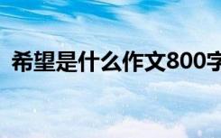 希望是什么作文800字 希望是什么的議論文