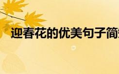 迎春花的優(yōu)美句子簡短 迎春花的優(yōu)美句子