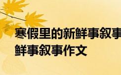 寒假里的新鮮事敘事作文600字 寒假里的新鮮事敘事作文