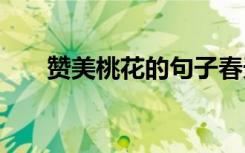 贊美桃花的句子春天 贊美桃花的句子