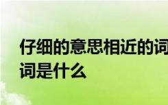 仔細的意思相近的詞語有哪些 詞語仔細同義詞是什么
