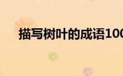 描寫(xiě)樹(shù)葉的成語(yǔ)100個(gè) 描寫(xiě)樹(shù)葉的成語(yǔ)