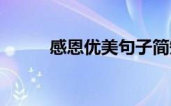 感恩優(yōu)美句子簡短 感恩優(yōu)美句子