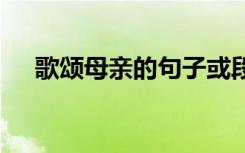 歌頌?zāi)赣H的句子或段落 歌頌?zāi)赣H的句子
