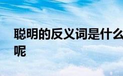 聰明的反義詞是什么呀 聰明的反義詞是什么呢