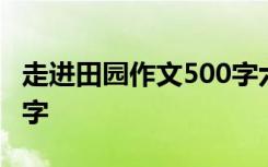 走進田園作文500字六年級 走進田園作文500字