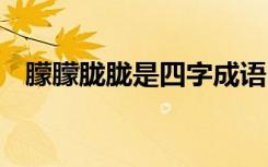 朦朦朧朧是四字成語(yǔ)嗎 朦朦朧朧成語(yǔ)解釋