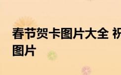 春節(jié)賀卡圖片大全 祝福語 雞年春節(jié)賀卡祝福圖片