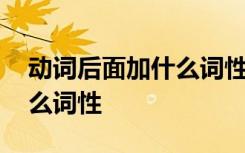 動(dòng)詞后面加什么詞性的詞英語 動(dòng)詞后面加什么詞性