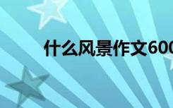 什么風(fēng)景作文600字 什么風(fēng)景作文