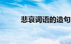 悲哀詞語的造句 悲哀解釋及造句