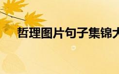 哲理圖片句子集錦大全 哲理圖片句子集