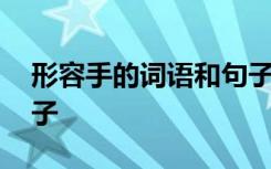 形容手的詞語(yǔ)和句子大全 形容手的詞語(yǔ)和句子