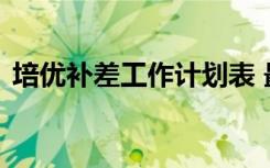 培優(yōu)補差工作計劃表 最新培優(yōu)補差工作計劃
