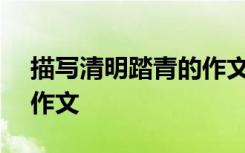 描寫清明踏青的作文600字 描寫清明踏青的作文
