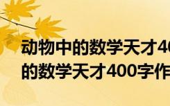 動(dòng)物中的數(shù)學(xué)天才400字作文怎么寫 動(dòng)物中的數(shù)學(xué)天才400字作文