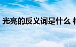 光亮的反義詞是什么 標(biāo)準(zhǔn)答案 光亮的反義詞