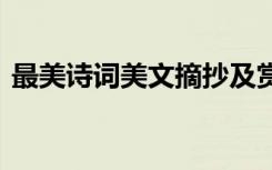 最美詩詞美文摘抄及賞析 美文的摘抄及賞析