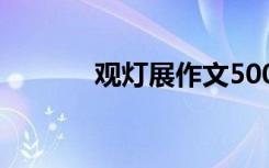 觀燈展作文500字 觀燈展作文