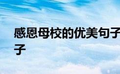 感恩母校的優(yōu)美句子短句 感恩母校的優(yōu)美句子