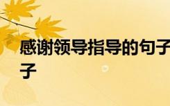 感謝領(lǐng)導(dǎo)指導(dǎo)的句子簡(jiǎn)短 感謝領(lǐng)導(dǎo)指導(dǎo)的句子