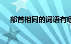 部首相同的詞語有哪些 部首相同的詞語