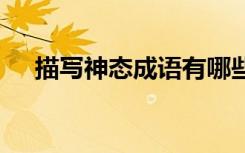 描寫(xiě)神態(tài)成語(yǔ)有哪些詞語(yǔ) 描寫(xiě)神態(tài)成語(yǔ)