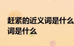趕緊的近義詞是什么 三年級下冊 趕緊的近義詞是什么