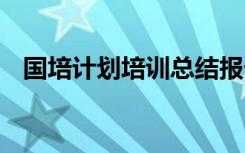國培計劃培訓(xùn)總結(jié)報告 國培計劃培訓(xùn)總結(jié)