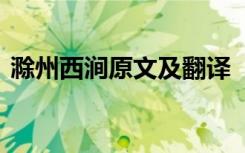 滁州西澗原文及翻譯 《滁州西澗》翻譯賞析