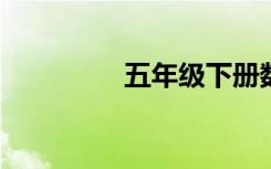 五年級下冊數(shù)學(xué)復(fù)習(xí)資料