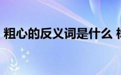 粗心的反義詞是什么 標(biāo)準(zhǔn)答案 粗心的反義詞
